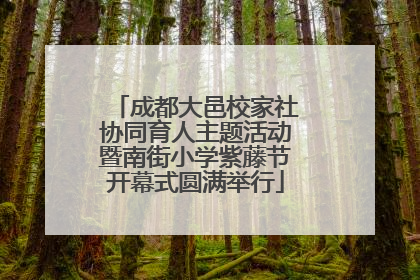 成都大邑校家社协同育人主题活动暨南街小学紫藤节开幕式圆满举行