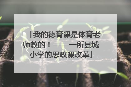 我的德育课是体育老师教的！——一所县城小学的思政课改革