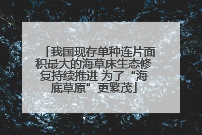 我国现存单种连片面积最大的海草床生态修复持续推进 为了“海底草原”更繁茂