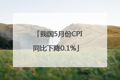 我国5月份CPI同比下降0.1%