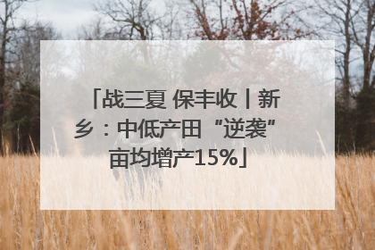 战三夏 保丰收丨新乡：中低产田“逆袭” 亩均增产15%