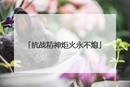 抗战精神炬火永不熄