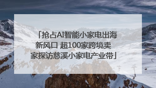 抢占AI智能小家电出海新风口 超100家跨境卖家探访慈溪小家电产业带