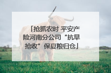 抢抓农时 平安产险河南分公司“抗旱抢收”保夏粮归仓