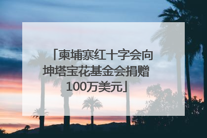 柬埔寨红十字会向坤塔宝花基金会捐赠100万美元