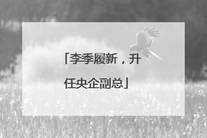 李季履新，升任央企副总