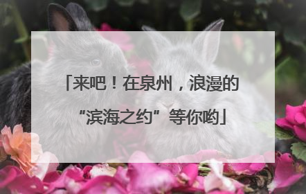 来吧！在泉州，浪漫的“滨海之约”等你哟