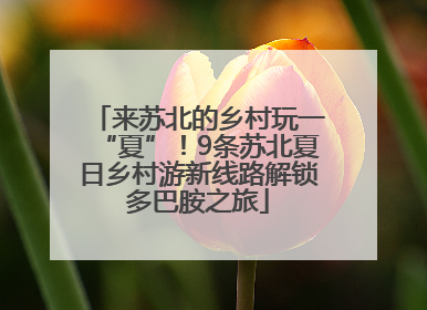来苏北的乡村玩一“夏”！9条苏北夏日乡村游新线路解锁多巴胺之旅