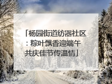 杨园街道纺器社区：粽叶飘香迎端午 共庆佳节传温情