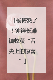 杨梅熟了！钟祥长滩镇收获“舌尖上的惊喜”