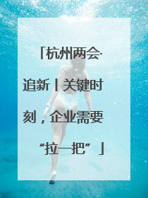 杭州两会·追新丨关键时刻，企业需要“拉一把”