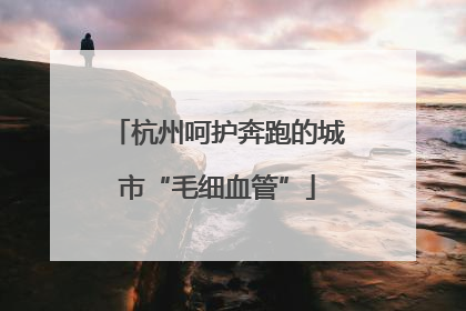 杭州呵护奔跑的城市“毛细血管”