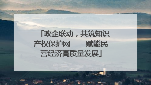 政企联动，共筑知识产权保护网——赋能民营经济高质量发展