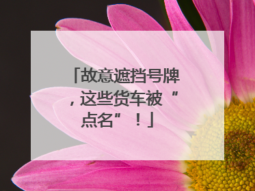 故意遮挡号牌，这些货车被“点名”！