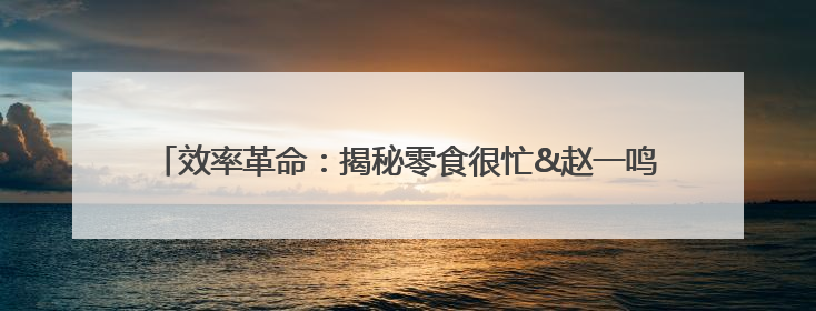 效率革命：揭秘零食很忙&赵一鸣零食单店GMV飙升的底层方法论