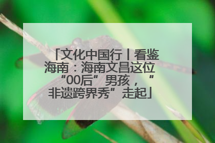 文化中国行丨看鉴海南：海南文昌这位“00后”男孩，“非遗跨界秀”走起