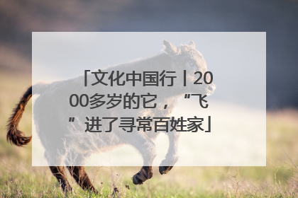 文化中国行丨2000多岁的它，“飞”进了寻常百姓家
