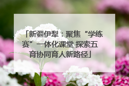 新疆伊犁：聚焦“学练赛”一体化课堂 探索五育协同育人新路径