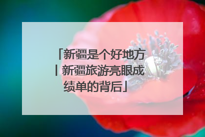 新疆是个好地方丨新疆旅游亮眼成绩单的背后