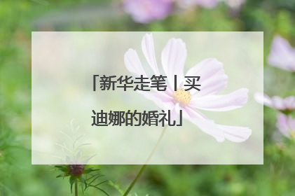 新华走笔丨买迪娜的婚礼