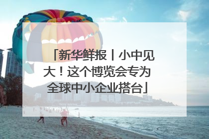 新华鲜报丨小中见大！这个博览会专为全球中小企业搭台