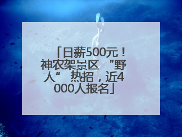 日薪500元！神农架景区 “野人” 热招，近4000人报名
