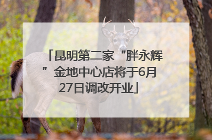 昆明第二家“胖永辉”金地中心店将于6月27日调改开业