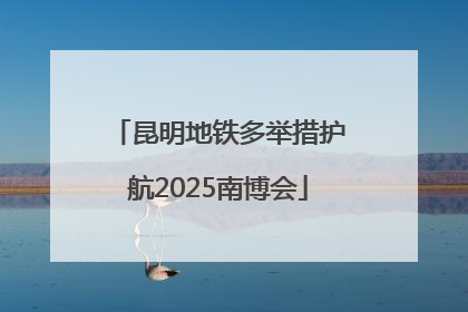 昆明地铁多举措护航2025南博会