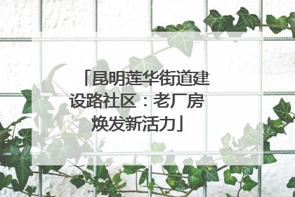 昆明莲华街道建设路社区：老厂房焕发新活力