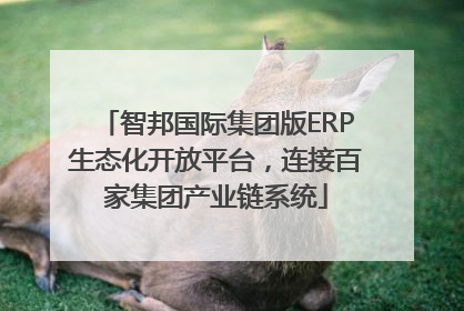智邦国际集团版ERP生态化开放平台，连接百家集团产业链系统