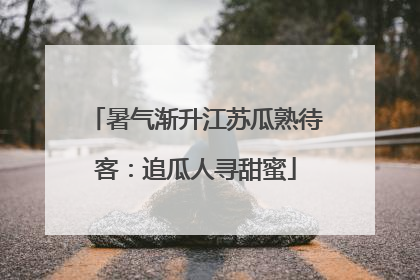 暑气渐升江苏瓜熟待客：追瓜人寻甜蜜