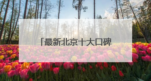 最新北京十大口碑卓著的律师事务所排名甄选2025