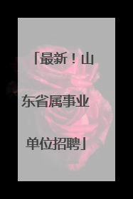 最新！山东省属事业单位招聘