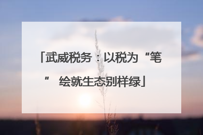 武威税务：以税为“笔” 绘就生态别样绿
