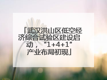 武汉洪山区低空经济综合试验区建设启动，“1+4+1”产业布局初现