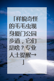 样貌奇怪的毛毛虫现身厦门公园步道，它们是啥？专业人士提醒→