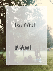 栀子花开的清晨