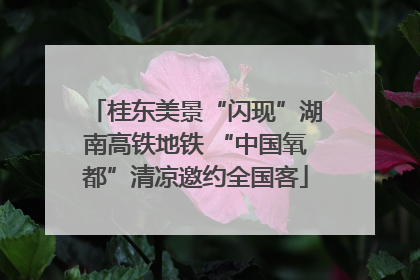 桂东美景“闪现”湖南高铁地铁 “中国氧都”清凉邀约全国客