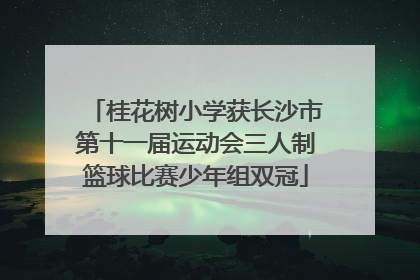 桂花树小学获长沙市第十一届运动会三人制篮球比赛少年组双冠