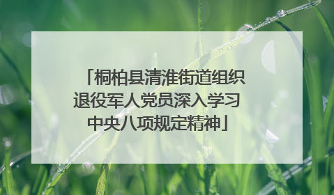 桐柏县清淮街道组织退役军人党员深入学习中央八项规定精神