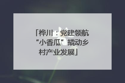 桦川：党建领航“小香瓜”撬动乡村产业发展