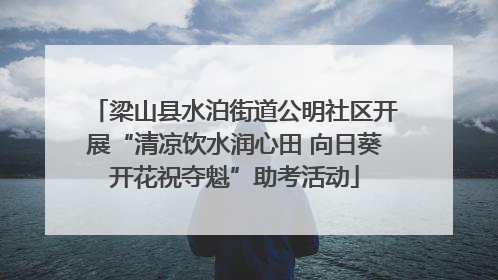 梁山县水泊街道公明社区开展“清凉饮水润心田 向日葵开花祝夺魁”助考活动