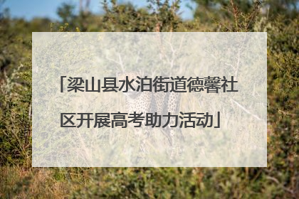 梁山县水泊街道德馨社区开展高考助力活动
