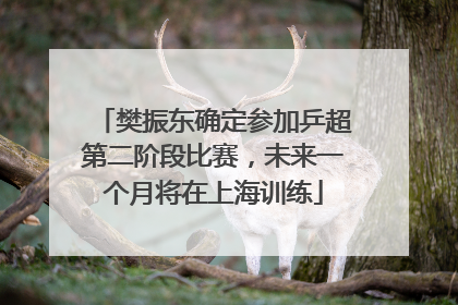 樊振东确定参加乒超第二阶段比赛，未来一个月将在上海训练