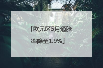欧元区5月通胀率降至1.9%
