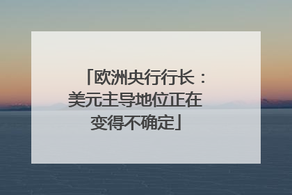 欧洲央行行长：美元主导地位正在变得不确定