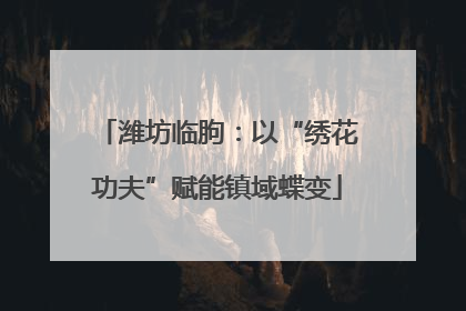 潍坊临朐：以“绣花功夫”赋能镇域蝶变