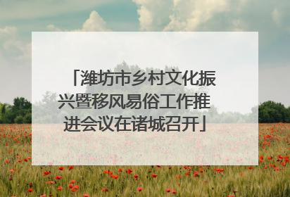 潍坊市乡村文化振兴暨移风易俗工作推进会议在诸城召开