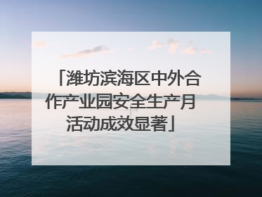 潍坊滨海区中外合作产业园安全生产月活动成效显著