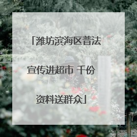 潍坊滨海区普法宣传进超市 千份资料送群众